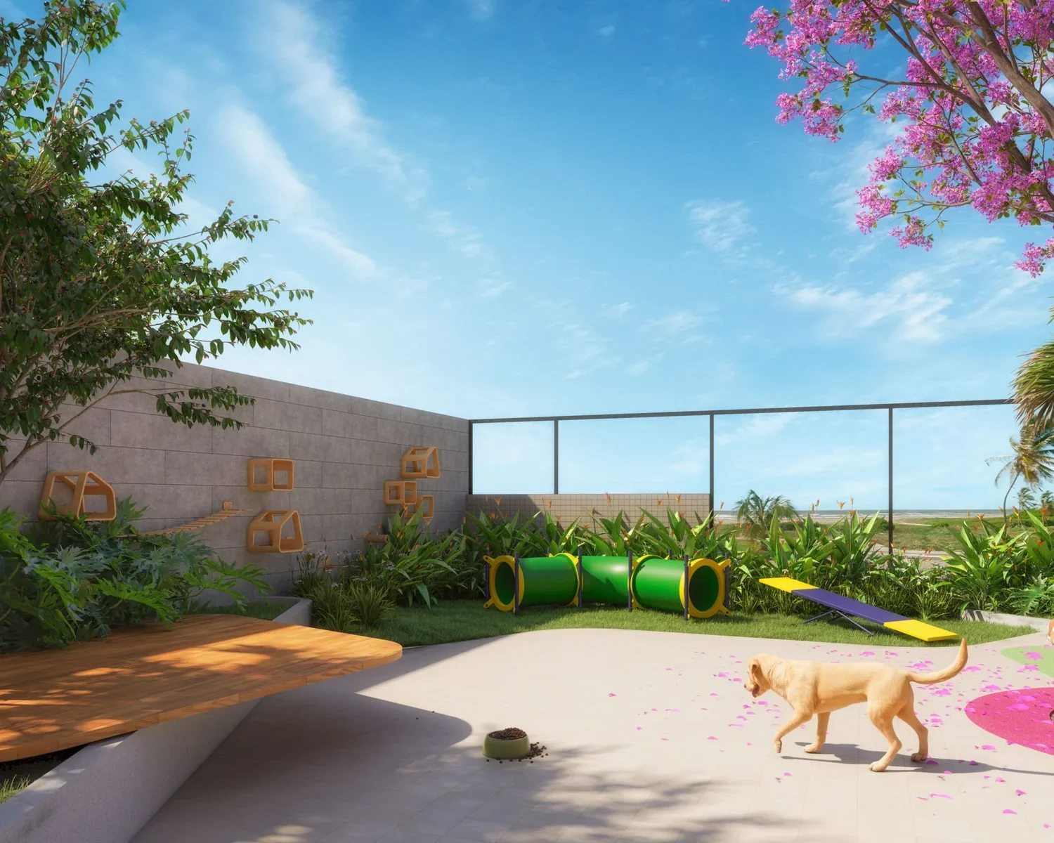 14 impacto silvia fonseca diniz internas terreo petplay scaled 1