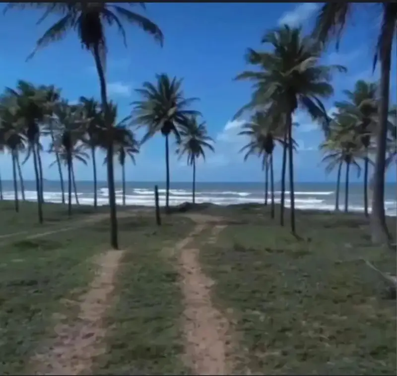 whatsapp image 2026 02 10 at 12.44.30