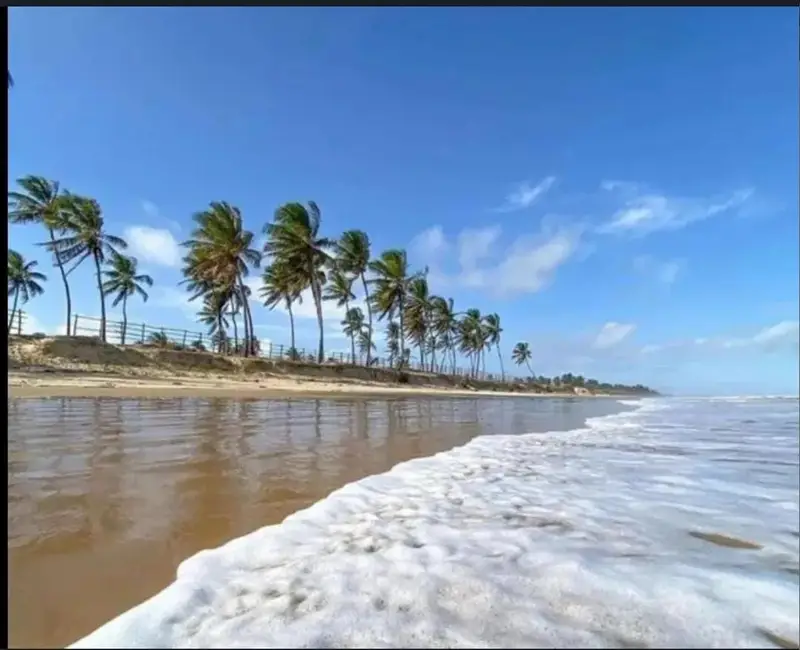 whatsapp image 2026 02 10 at 12.44.42