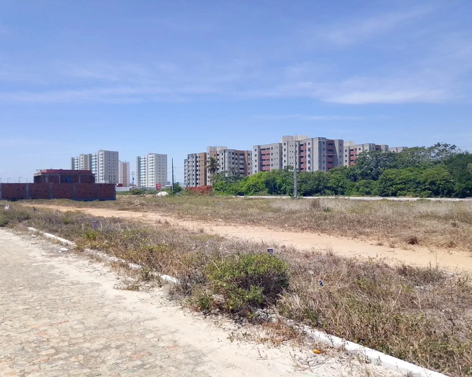 whatsapp image 2025 12 11 at 12.52.55 3