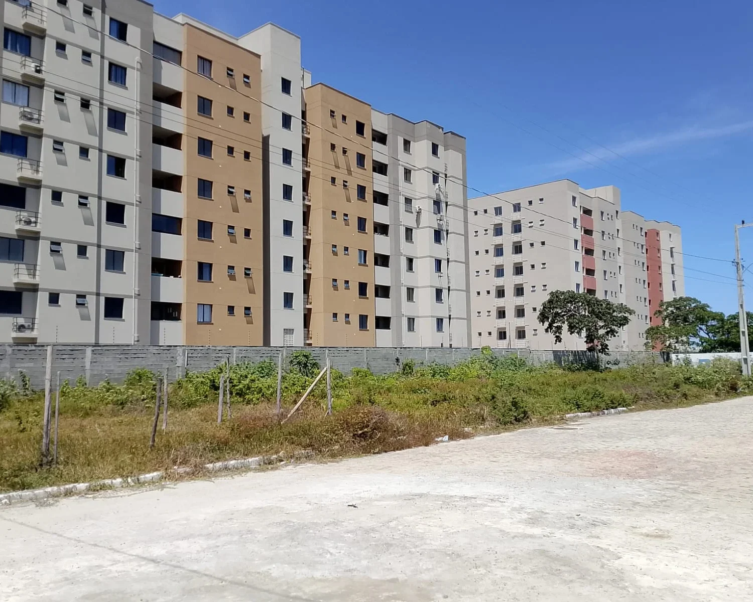 whatsapp image 2025 12 11 at 12.52.56 2