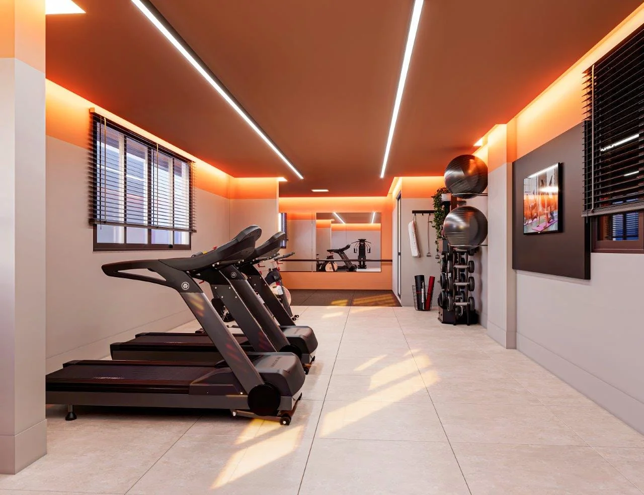 lumiere academia danca