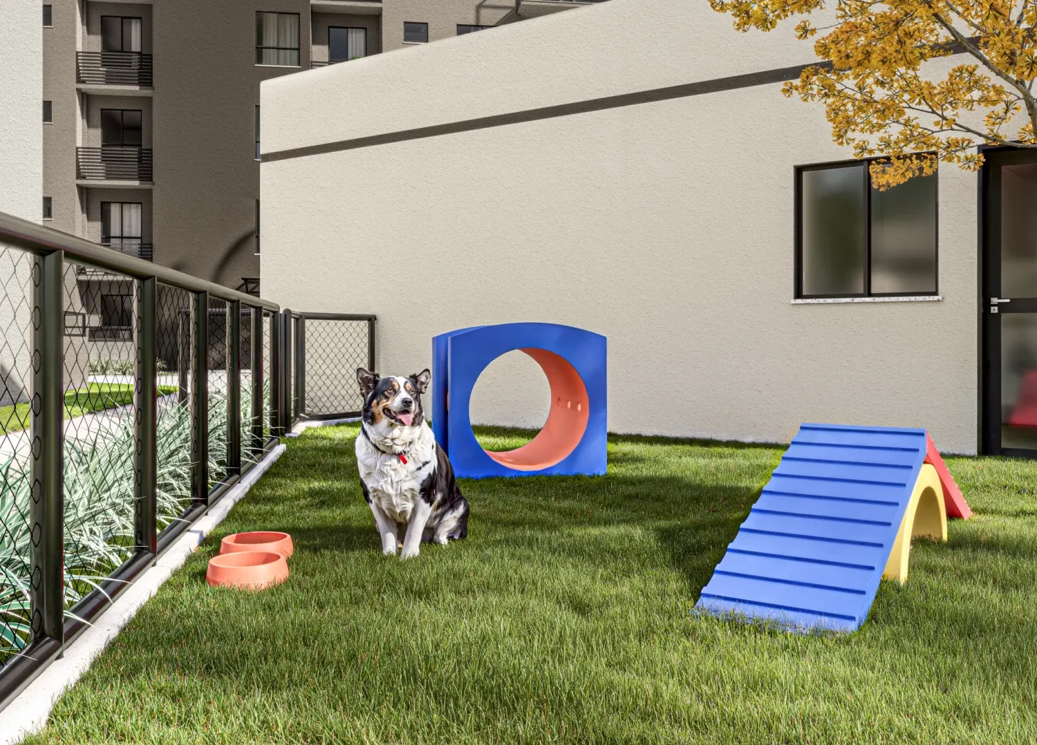 petplay vertice stanza aracaju se