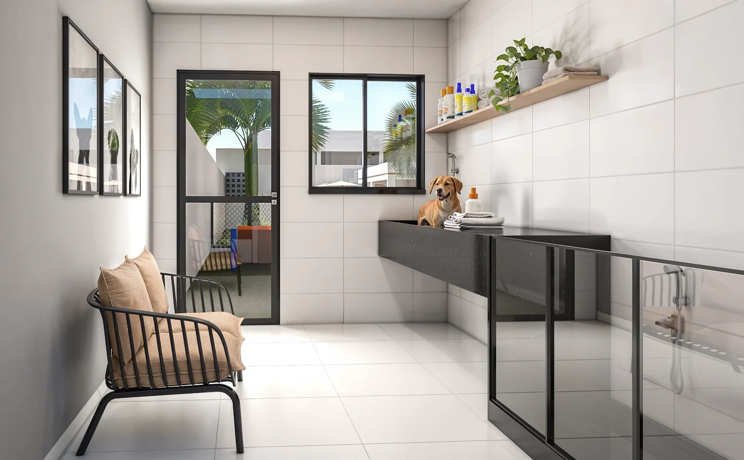 petwashing vertice stanza aracaju se